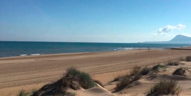 Bienvenidos a nuestra web de apartamentos en la Playa de Oliva y Oliva Nova Golf - ARLANDIS